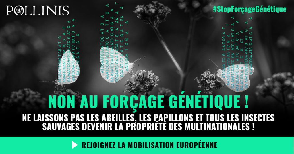 Non au forçage génétique –