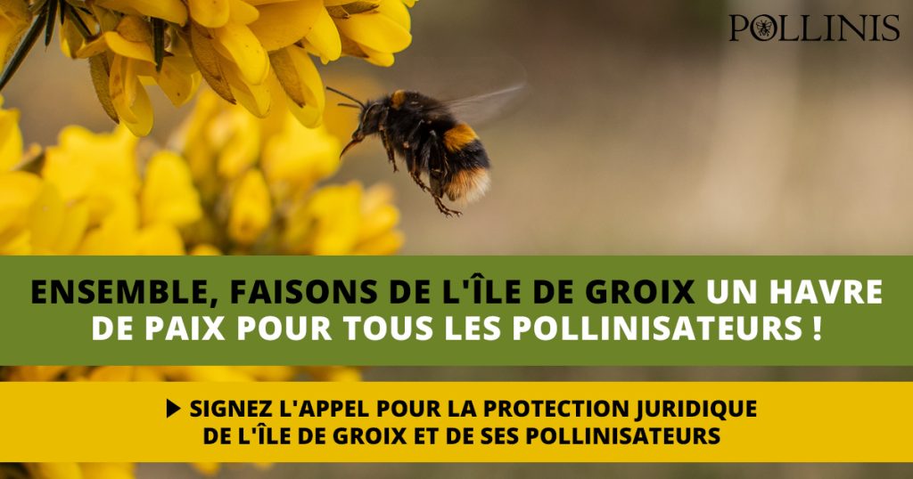 Protection juridique de l’île de Groix