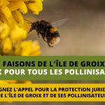 Protection juridique de l’île de Groix