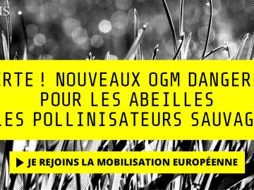 Nouveaux OGM