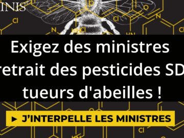 test Interdisons les SDHI